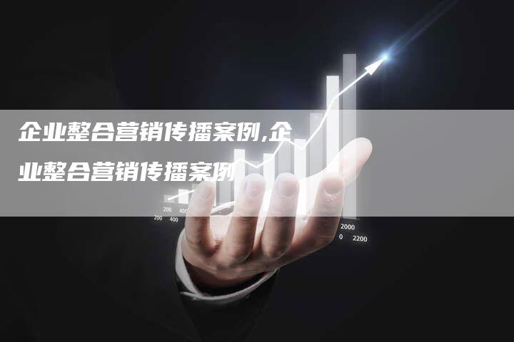 企业整合营销传播案例,企业整合营销传播案例